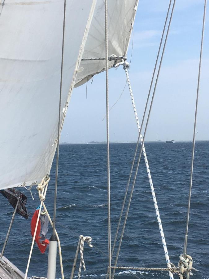 Stay Only Or Sailaway With Friends And Family Have More Fun Medemblik Kültér fotó